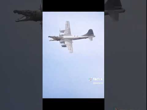 bombardino cocodrilo 💀