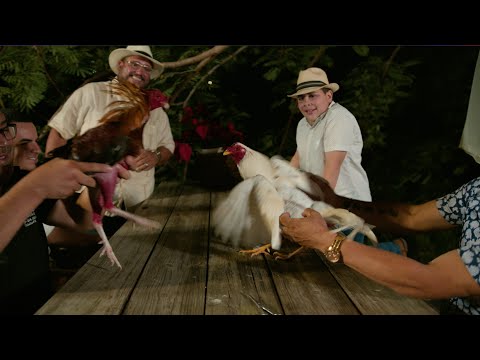 Navidad en Villalba Vo. 6 - Mi Gallo Canta También