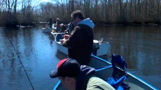 preview picture of video 'Pocomoke river fishing'