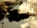 Coil-Amber Rain 