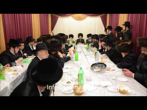 Sukkos 5777 With Aleksander Rebbe