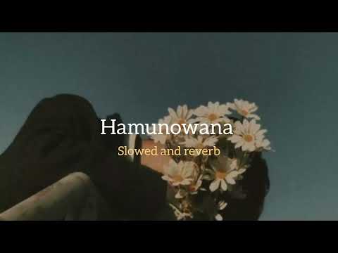 Hamunowana lesa aaye [ slowed ] හමුනොවනා