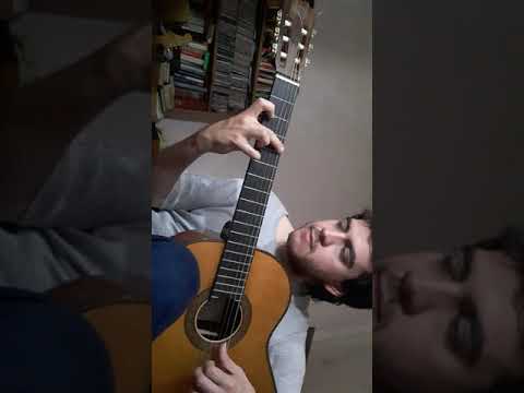 Alessandro Piccinini - Corrente prima