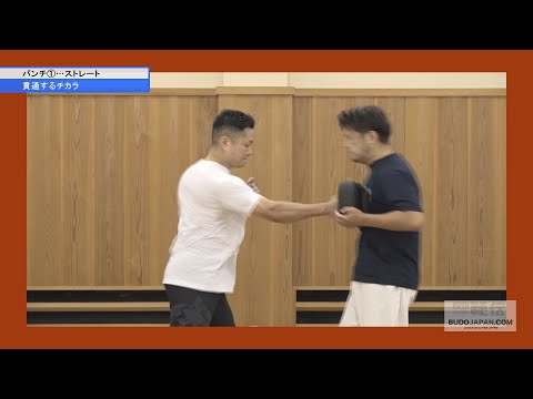 秀徹・藤原将志先生【爆発するストレート】貫通するチカラを体感する！　HOW TO DEVELOP THE POWER OF STRIKE BY SACRUM AND AXIS