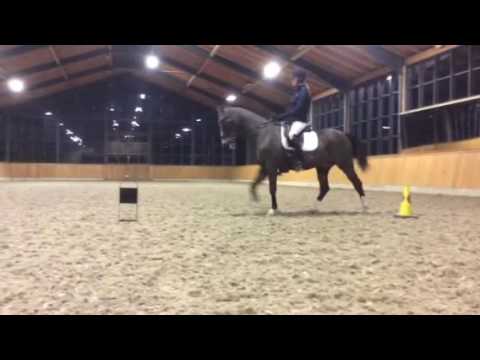 Zara Lewis and langar 28/12/2016