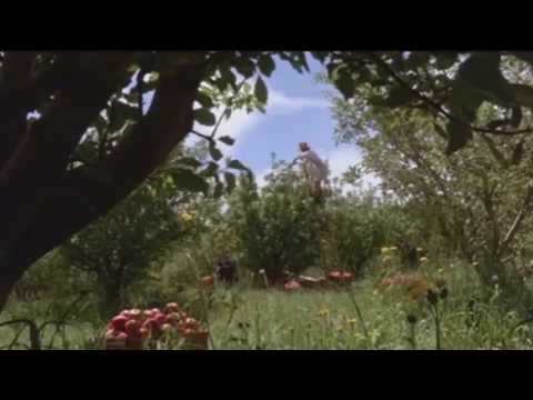 Young Einstein - Tasmanian Devil Scene