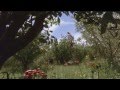 Young Einstein Tasmanian Devil Scene