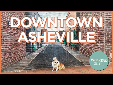 阿什維爾市中心的單獨旅行--愛狗的地方、國際刑警組織的音樂會和煎餅 (Solo Trip to Downtown Asheville - Dog-Friendly Places, Interpol Concert, and Pancakes)