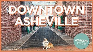 Solo Trip to Downtown Asheville - Dog-Friendly Places, Interpol Concert, and Pancakes