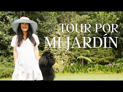 Tour por mi jardín 🌹🌻🌺| Martha Debayle