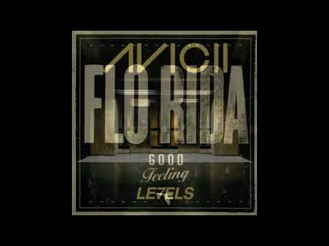 Avicii x Flo Rida - Levels x Good Feeling | Laq1704 mashup
