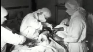 Shore Lined Poison - Skinny Puppy