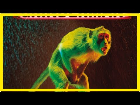 Breaking News | Seminal Tom Hingston album covers go on show at Paul Smith’s London flagship