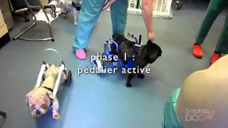 Miniature de la vidéo