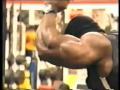 Flex Wheeler Training Biceps Triceps
