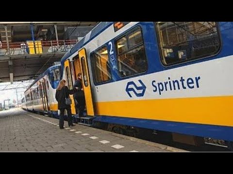 Netherlands, Train ride from Haarlem to Hillegom | Sprinter ride | 8K ULTRA HD