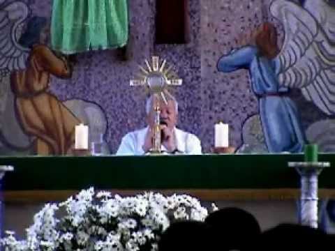 estas presente vide xvid