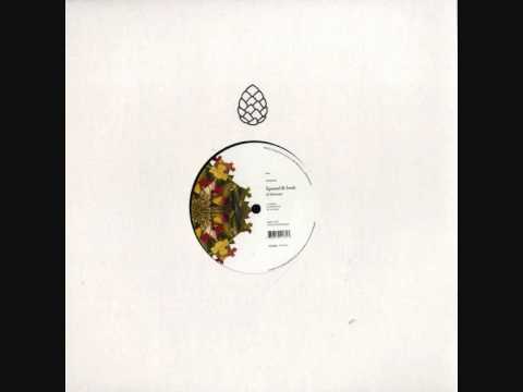 xpansul & imek - la alegria