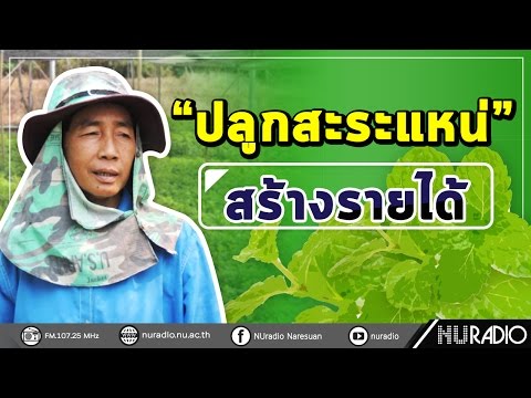 ซื้อใน Pavlodar ค้อนของ ธ อร์ วิธีการเกลี้ยกล่อมและตื่นเต้นผู้หญิง