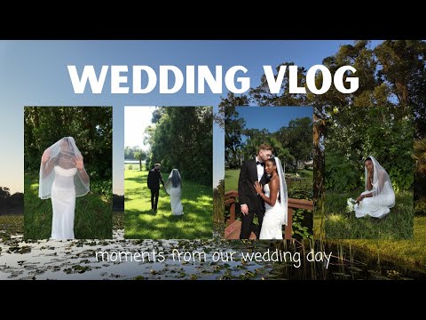 moments from our wedding day | an elopement vlog | wedding series pt.8 #wedding #dayinmylife