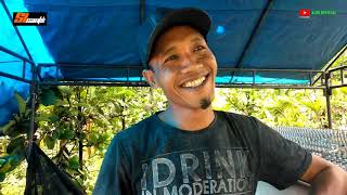 Download lagu SI CANTIK SOUND SYSTEM TERIMA JOB DADAKAN, || SOUND JANGERAN mp3