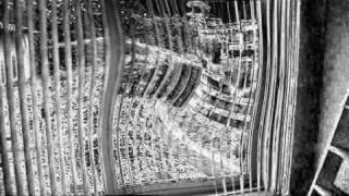 El ciervo vulnerado - The Mars Volta  (time)