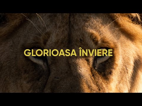 Glorioasa Înviere | Fane Sandu | City Light Timișoara