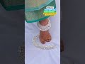 New Beautiful 400gm Heavyweight Silver Dulhan Payal With 67 Discount On Instant First Order Payal