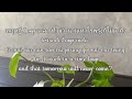 Jeff Satur Loop Lyric