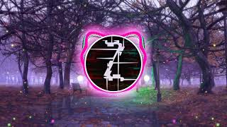 Steve Aoki feat. BTS - Waste It On Me (W&W Remix)