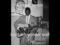 Elmore James-Look on yonder wall