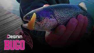 Umělá nástraha Delphin BUGO Cheese 15ks 4cm ORGANS