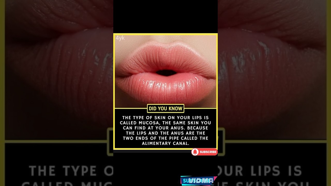 Your Lips Aren’t Just for Kissing – The Hidden Connection!