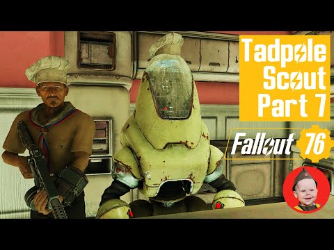 Fallout 76: Tadpole Scout: Running Around Looking For Stuff (PS4 gameplay Episode 94)