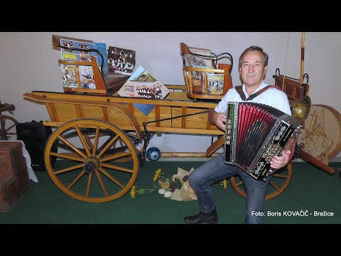 Brane Mešl - Sinko ne sprašuj (besedilo SLO in D, v živo)