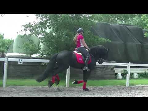 Stal Okkema's Cruijff