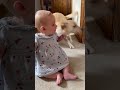 Dog Gets A Little Too Excited Around Baby ViralHog