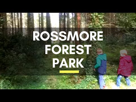 Rossmore Forest Park - Monaghan - County Monaghan - Ireland