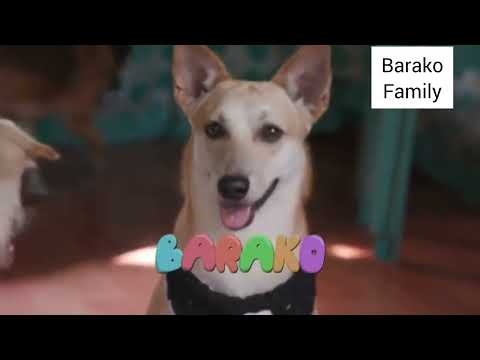 Barako Family with Miss Kara David #barakofamily #petlover  #pets