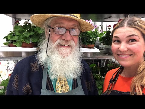 Mats från Pelargonfönstret -DÅ ska du börja ge dina krukväxter extra näring!