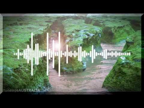 Bonobo - First Fires (ft. Grey Reverend)