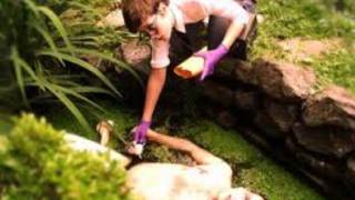 Yoyo Bye Bye- Xiu Xiu (why? cover)