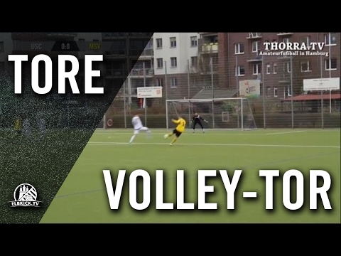 Volleyknaller von Robert Subasic (Meiendorfer SV) | ELBKICK.TV