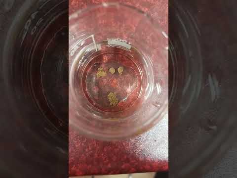 Gentox Bio Potash Fertilizer Granules, Bag, 50 kg video by Gentox Agro Tech Private Limited