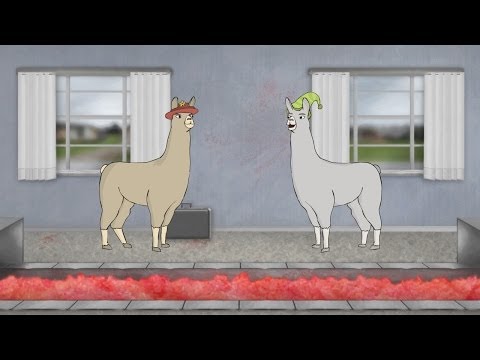 Llamas with Hats 6 Video