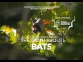 The Truth About Bats (Full Documentary)