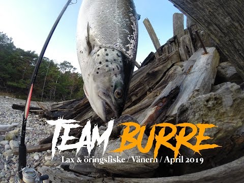Sanslöst lax- och öringsfiske i Vänern | Team Burre | April 2019