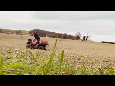 Timberwolf at it again !