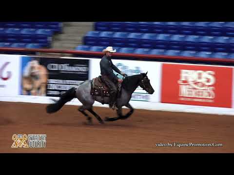 Plain Catty ridden by Jake D. Gorrell  - 2017 Snaffle Bit Futurity (Rein Work - Open Prelims)