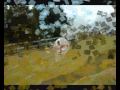 ZORBING Promo Vid: HELP Stressbuster 2009 ...